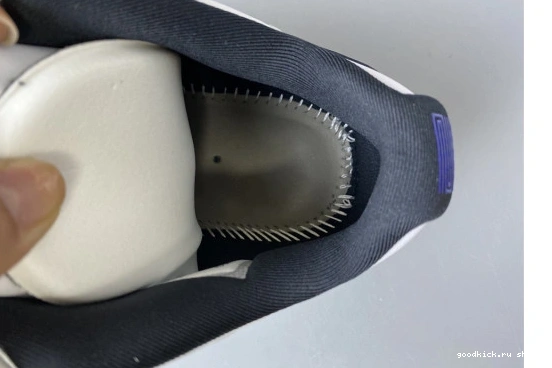 Air Jordan Concord White Low Retro AH7860-100 AH7860-100 11 0216